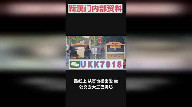 揭秘澳門今晚開獎號碼，預測與策略走向，澳門今晚開獎號碼揭秘與預測策略走向探討