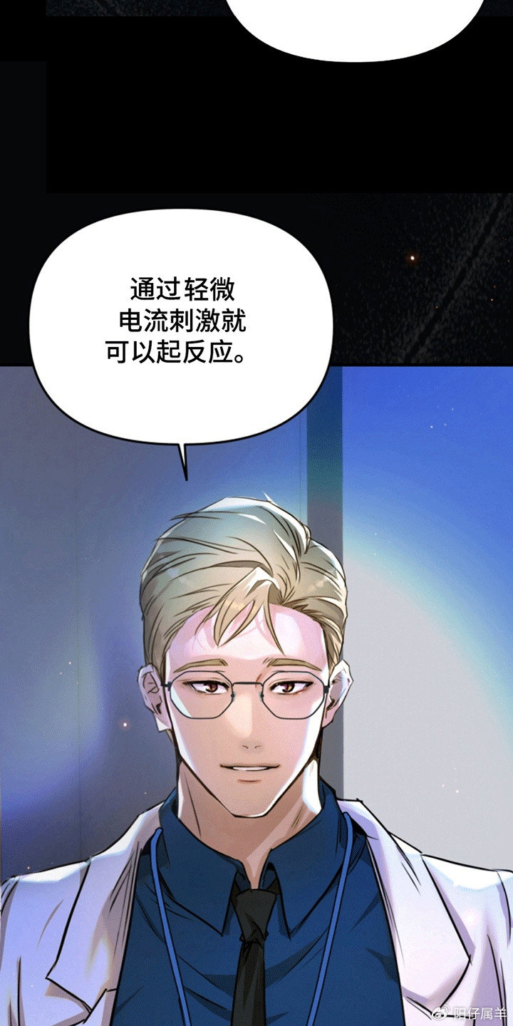 夜間診療室韓漫免費，探索醫(yī)療與娛樂的新領(lǐng)域，夜間診療室韓漫免費，醫(yī)療與娛樂的新領(lǐng)域探索