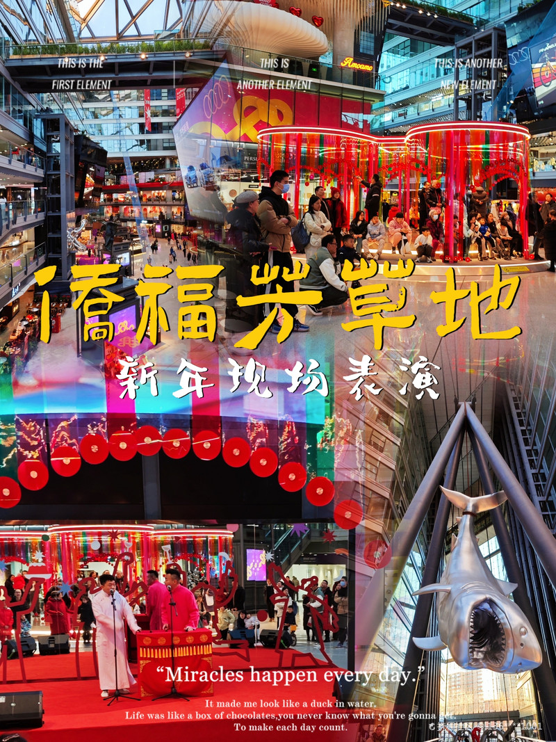 最新揭秘，2024新澳芳草地全方位資料詳解，揭秘2024新澳芳草地全方位資料，最新詳解