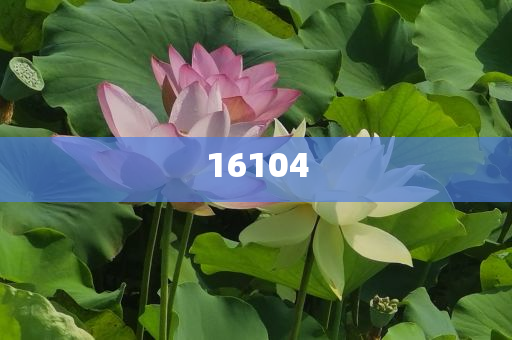 新奧600圖庫(kù)2025，探索與前瞻，新奧600圖庫(kù)2025，深度探索與未來展望