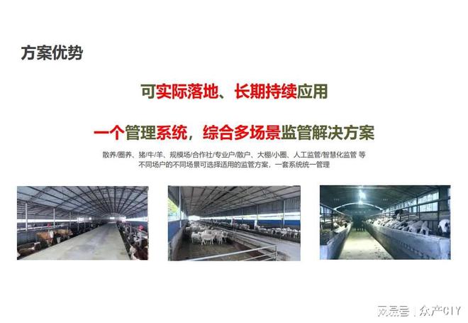 探索新澳芳草地，正版資料的免押之旅（2025年最新資訊），探索新澳芳草地，正版資料免押之旅（最新資訊）