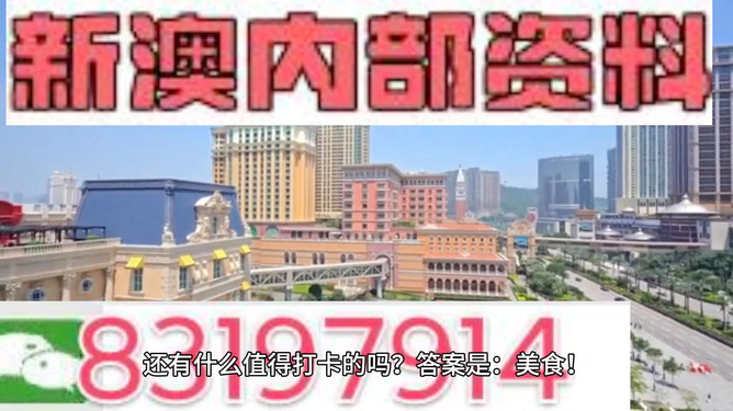 新澳門精準四肖期期中特公開下載，探索與解析，澳門精準四肖期期中特解析與探索，公開下載揭秘