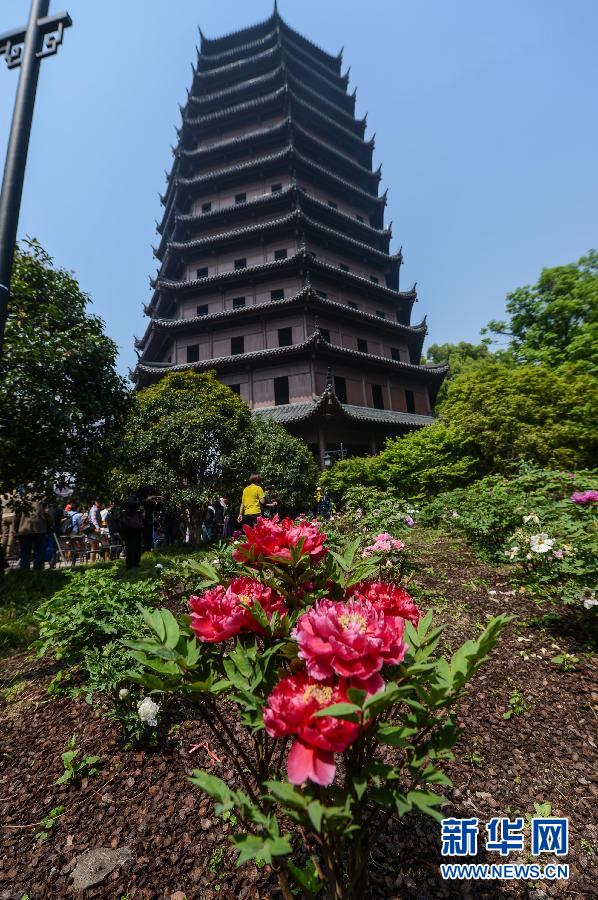 六和彩開碼資料網——探索彩票世界的門戶，六和彩開碼資料網，彩票世界探索之門