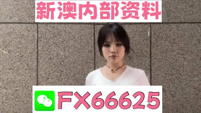 澳門資料大全正版資料查詢，探索澳門的文化與歷史深度之旅，澳門文化與歷史深度探索，正版資料大全及查詢指南