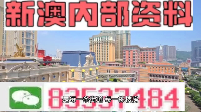 新澳門最精準(zhǔn)正最精準(zhǔn)龍門——探索澳門的魅力與機(jī)遇，澳門魅力與機(jī)遇探索，新澳門最精準(zhǔn)龍門