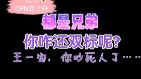 一肖二肖是什么意思——深度解析中國民俗中的生肖文化，深度解析中國民俗中的生肖文化，一肖二肖的含義與故事