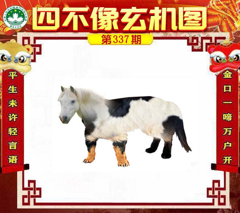 王中王一肖必中四不像，揭秘彩票背后的秘密與策略，揭秘彩票背后的秘密與策略，王中王一肖四不像彩票解析
