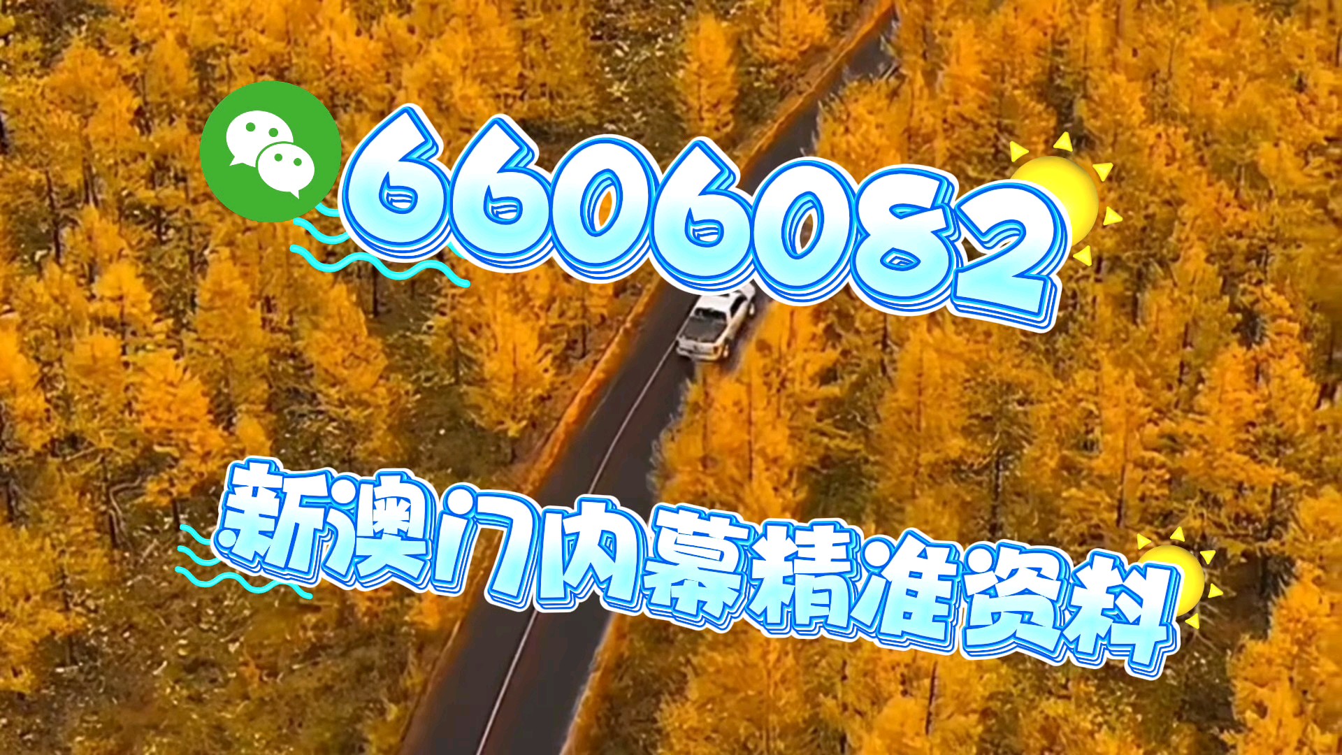 新澳門一肖一碼中恃馬，探索與解析，澳門一肖一碼中恃馬，探索與解析