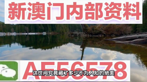 2025新澳門精準(zhǔn)免費(fèi)大全——全面解析澳門未來(lái)發(fā)展趨勢(shì)與機(jī)遇，澳門未來(lái)發(fā)展趨勢(shì)與機(jī)遇全面解析，新澳門精準(zhǔn)免費(fèi)大全展望