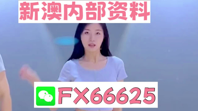 新澳門精準(zhǔn)資料大全——管家婆料解析與探索，澳門精準(zhǔn)資料大全，管家婆料解析與深度探索
