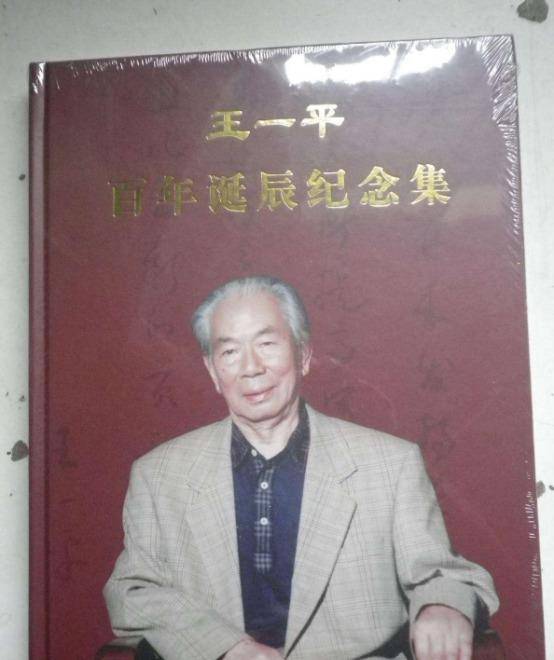 王中王平肖一特，聚焦關(guān)鍵詞，深度解析個(gè)人品牌與SEO優(yōu)化策略，深度解析個(gè)人品牌建設(shè)與SEO優(yōu)化策略——以王中王平肖一特為例