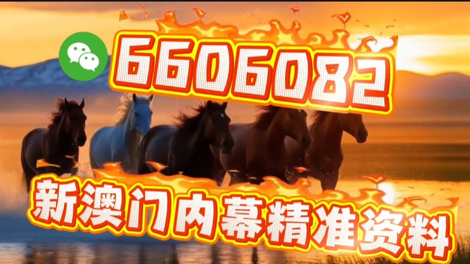 澳門今晚必開一肖一特，探索生肖彩票的魅力與預(yù)測，澳門生肖彩票探索，魅力揭秘與今晚預(yù)測一肖一特