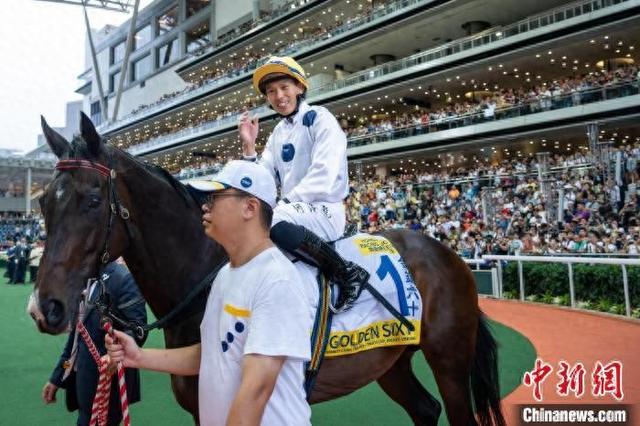 香港特馬王資料免費公開，深度解析與探索，香港特馬王資料深度解析與探索，免費公開揭秘