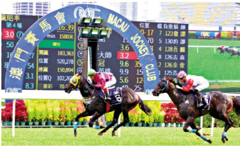 澳門賽馬會(huì)，歷史、文化與激情的交融，澳門賽馬會(huì)，歷史、文化與激情的盛會(huì)