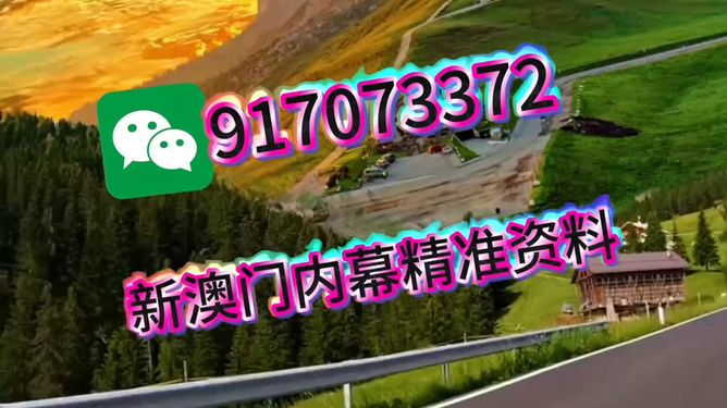 王中王一肖一中特，深度解析與SEO優(yōu)化策略，王中王一肖一中特深度解析與SEO優(yōu)化策略探討