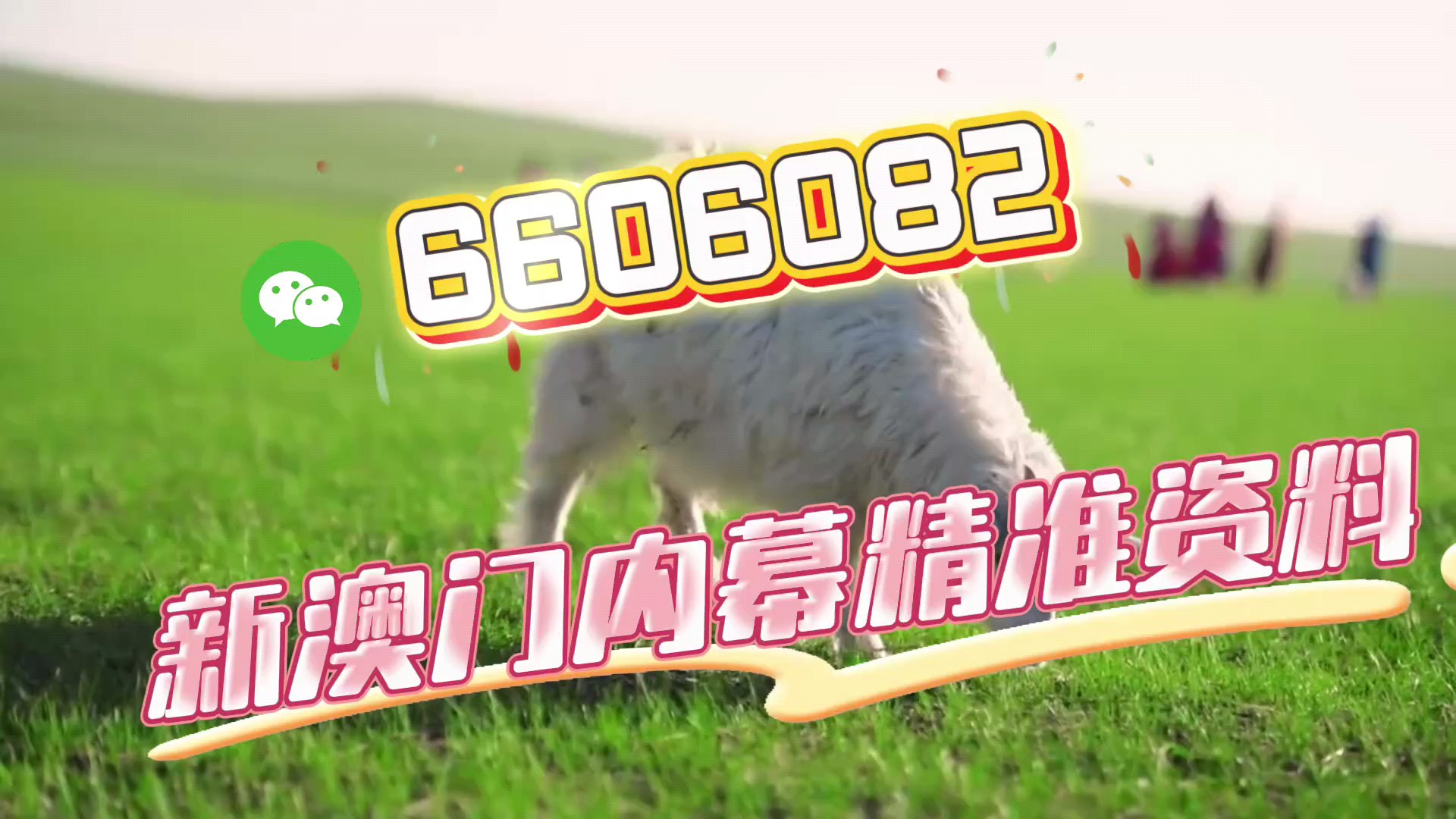 澳門一肖一碼準選今晚，揭秘彩票預(yù)測的秘密與策略，澳門彩票預(yù)測揭秘，今晚一肖一碼準選策略與秘密