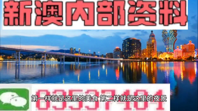澳門免費(fèi)精準(zhǔn)大全4949，探索澳門博彩魅力的秘密，澳門博彩魅力揭秘，免費(fèi)精準(zhǔn)大全4949探索之旅