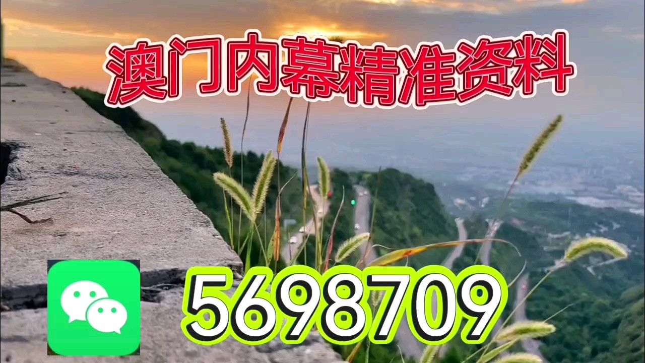 新澳天天開彩資料大全，探索彩票世界的奧秘，探索彩票世界奧秘，新澳天天開彩資料大全