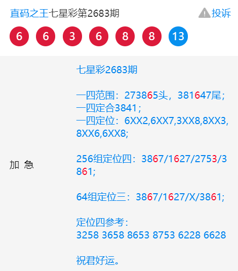 王中王一肖中特4487，揭秘背后的故事與奧秘，揭秘王中王一肖中特4487背后的故事與奧秘