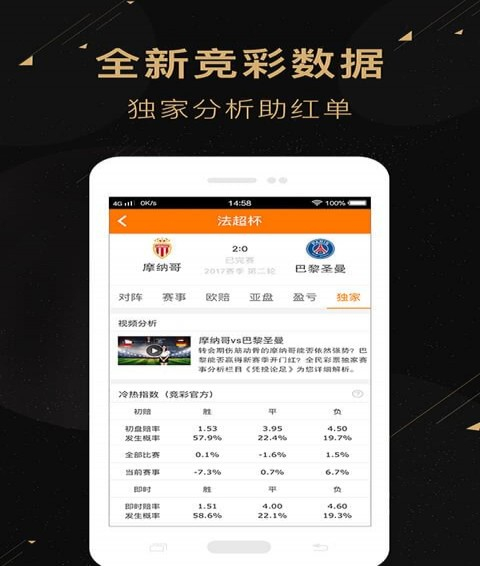 二肖二碼，深度解析與SEO優(yōu)化策略，二肖二碼深度解析與SEO優(yōu)化策略探討