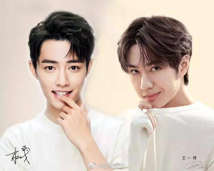 王中王一肖資料深度解析，一探究竟，王中王一肖資料深度解析，揭秘真相