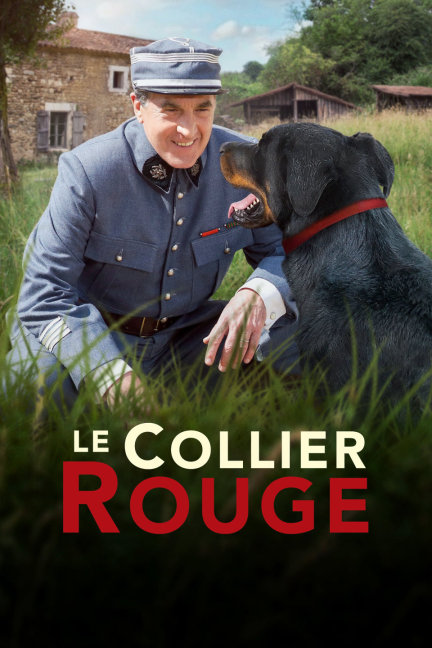 四不像王中王必中一肖，揭秘背后的秘密與策略，揭秘四不像王中王必中一肖的秘密與策略，揭秘背后的真相與策略