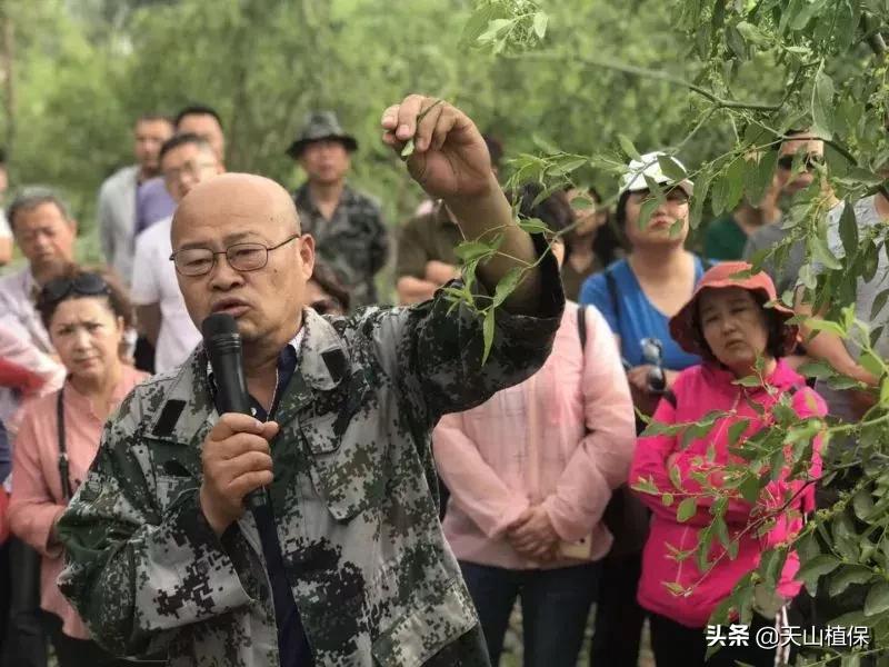 長(zhǎng)期吃紅棗的潛在害處，了解并平衡飲食健康，長(zhǎng)期食用紅棗的潛在風(fēng)險(xiǎn)與飲食平衡的重要性