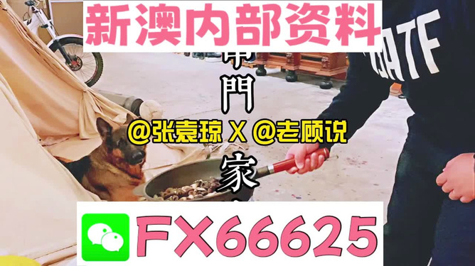 澳門管家婆資料正版大全——全面解析與深度探索，澳門管家婆資料正版大全，全面解析與深度探索指南