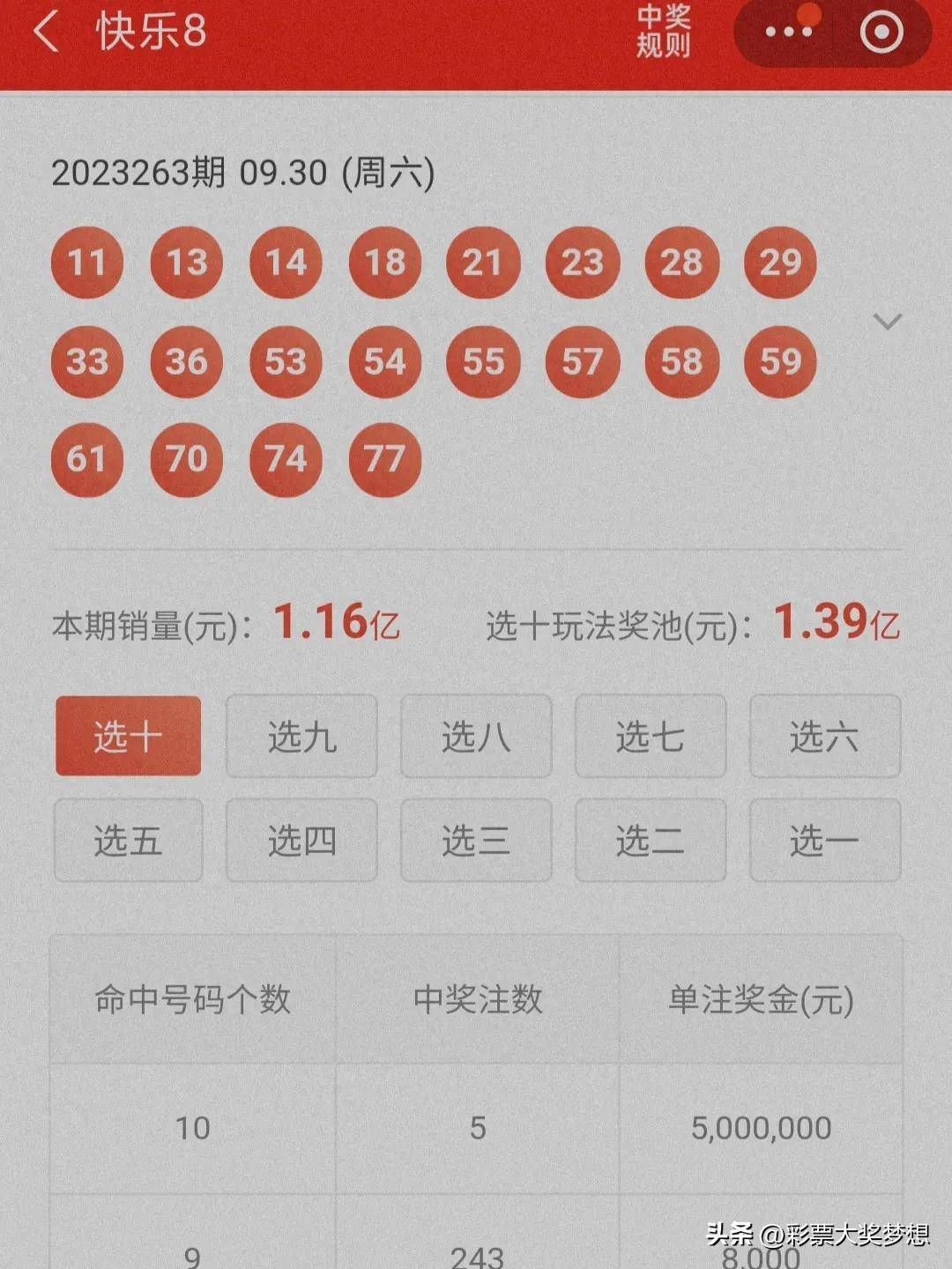 揭秘王中王四肖必中一肖中特，深度解析與SEO優(yōu)化策略，揭秘王中王四肖必中一肖中特，深度解析與SEO策略全攻略