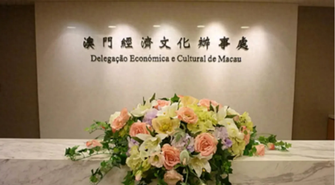 澳門一碼一肖一待一中四不像——揭開神秘面紗下的真相，澳門神秘事件揭秘，一碼一肖一待一中四不像真相探索