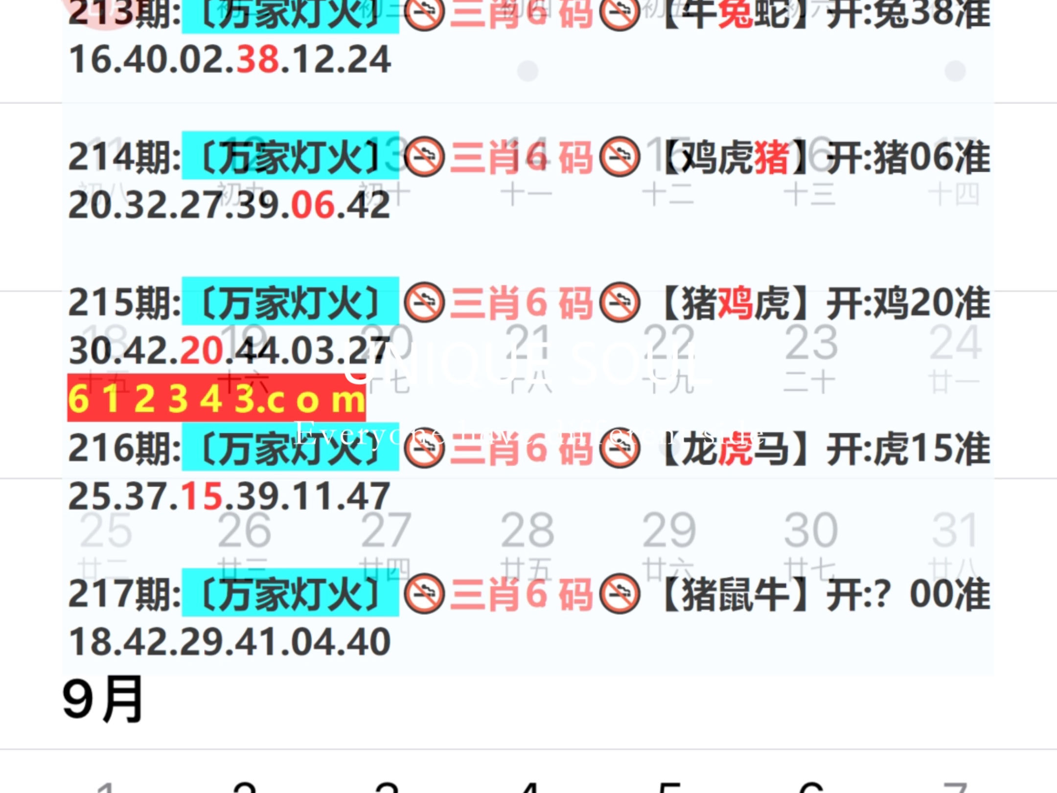新澳門期期免費(fèi)資料——探索澳門博彩文化的深度與廣度，澳門博彩文化深度與廣度探索，新澳門期期免費(fèi)資料揭秘