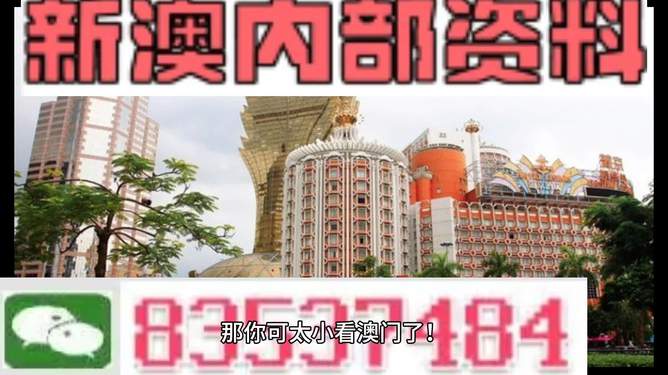 新澳新澳門正版資料，探索與解析，新澳新澳門正版資料深度解析與探索
