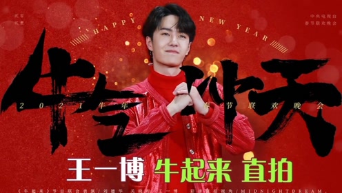 王中王一肖中特一馬救世，探尋背后的故事與真理，探尋王中王一肖中特背后的故事與真理，一馬救世的傳奇之旅