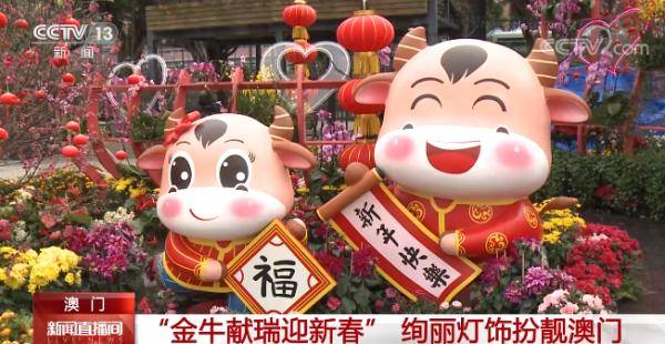 澳門金牛網(wǎng)金牛版論壇——探索與解析，澳門金牛網(wǎng)金牛版論壇，深度探索與解析