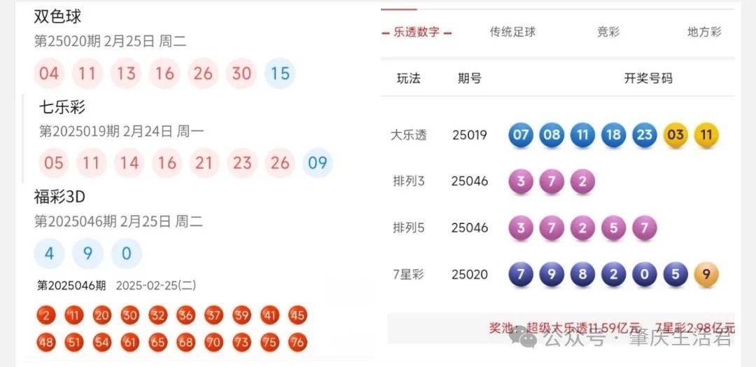 香港今晚開獎結(jié)果號碼是多少——揭秘彩票背后的秘密，揭秘彩票背后的秘密，香港今晚開獎結(jié)果號碼揭曉