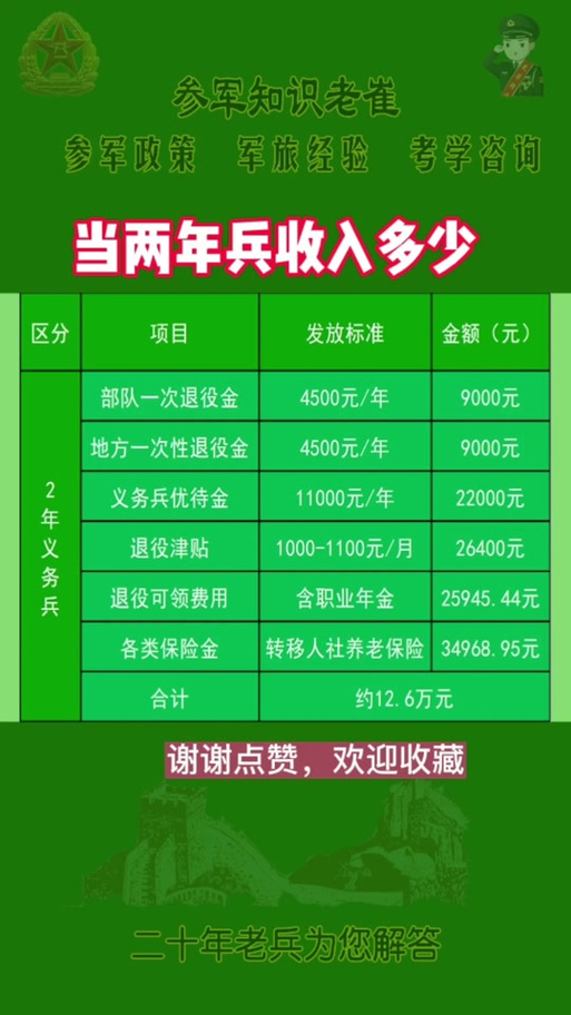 關于義務兵兩年能拿多少錢的全面解析，全面解析，義務兵兩年收入概覽