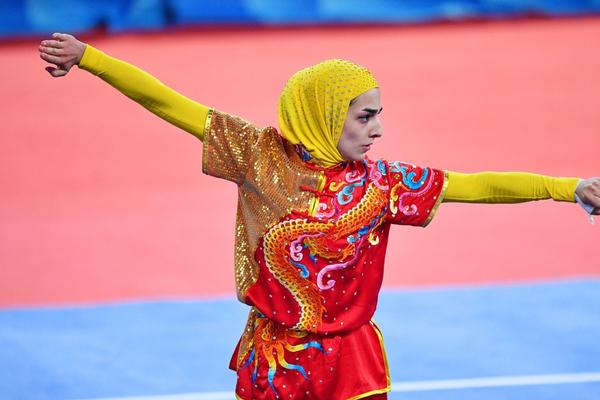 揭秘504王中王一肖，背后的故事與傳奇，揭秘王中王一肖傳奇，背后的故事與神秘面紗