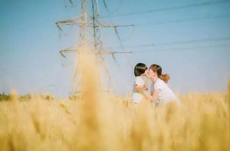 新澳門最精準正最精準龍門，探索與揭秘，新澳門最精準正龍門探索揭秘攻略