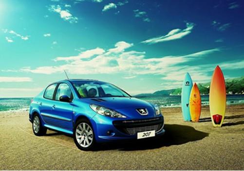 王中王307期指一生肖——深度解讀與SEO優(yōu)化，王中王307期生肖深度解讀與SEO優(yōu)化策略揭秘