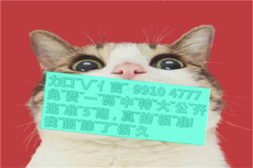 一肖啥意思，深度解析與SEO優(yōu)化文章，一肖含義深度解析與SEO優(yōu)化策略探討