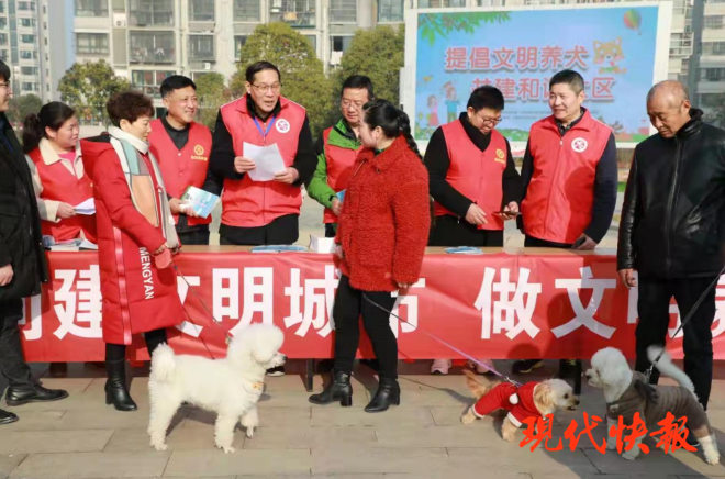 急先鋒澳門六肖，深度解析與探索，澳門六肖急先鋒，深度解析與探索