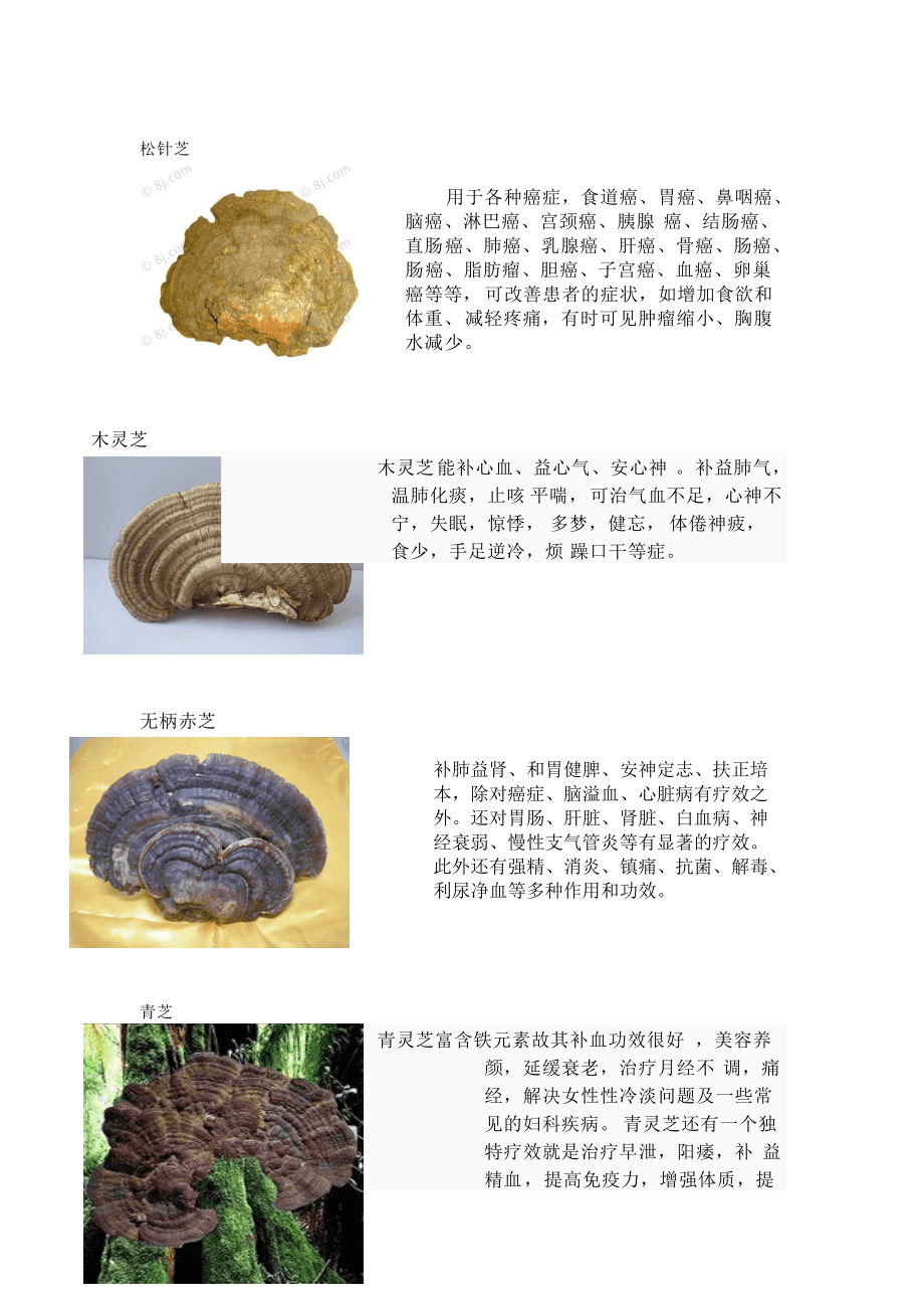 靈芝，功效、作用及食用方法，靈芝，功效、作用與食用指南